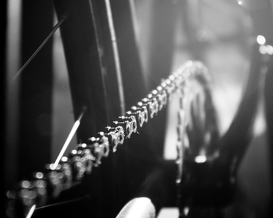 Sprocket and Chain