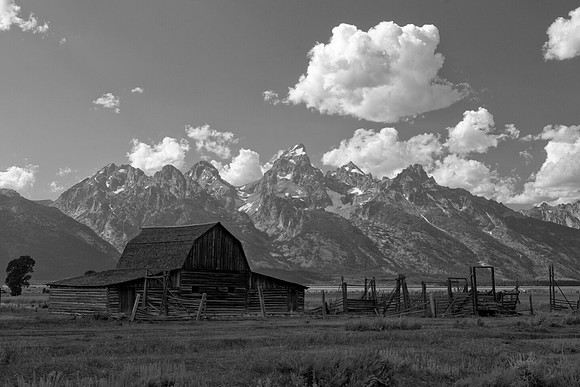 Mormon Row
